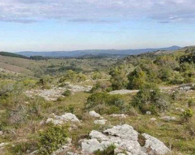 Chacra en Maldonado, propiedad 269005 -Imagen 8