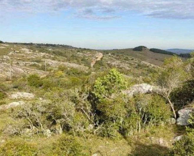 Chacra en Maldonado, propiedad 269005 -Imagen 9