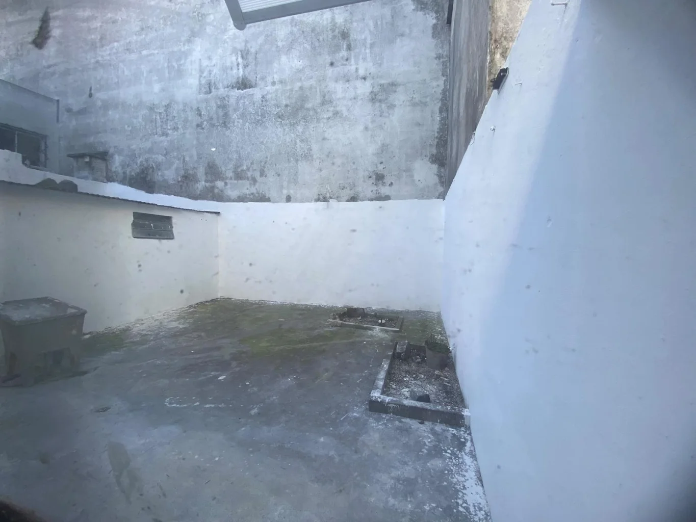 Casa en Buceo, propiedad 301873 -Imagen 5