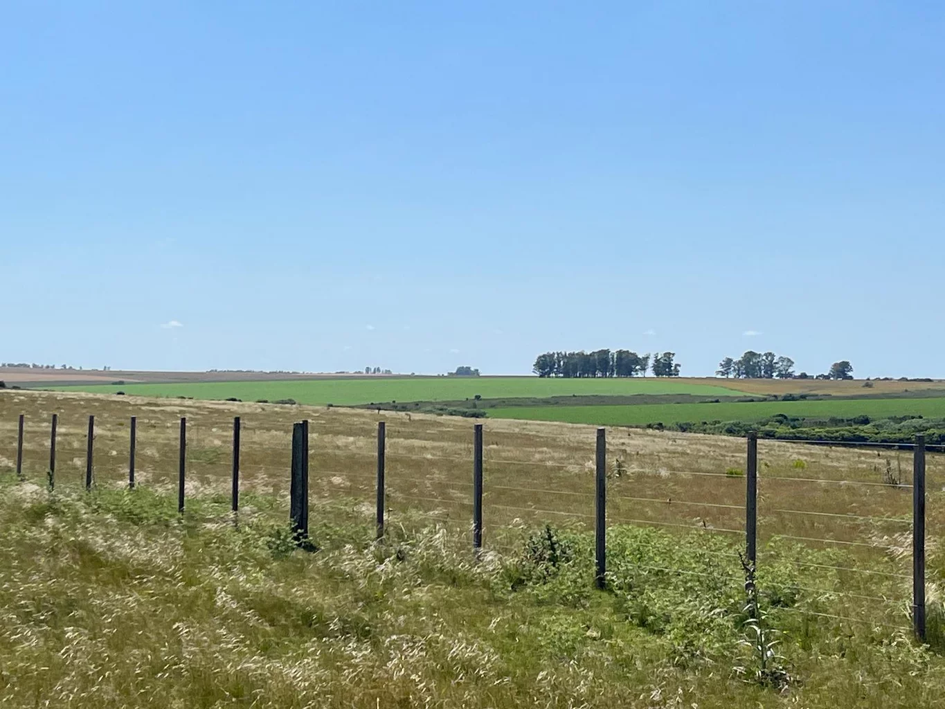 Campo en San José, propiedad 252290 -Imagen 2