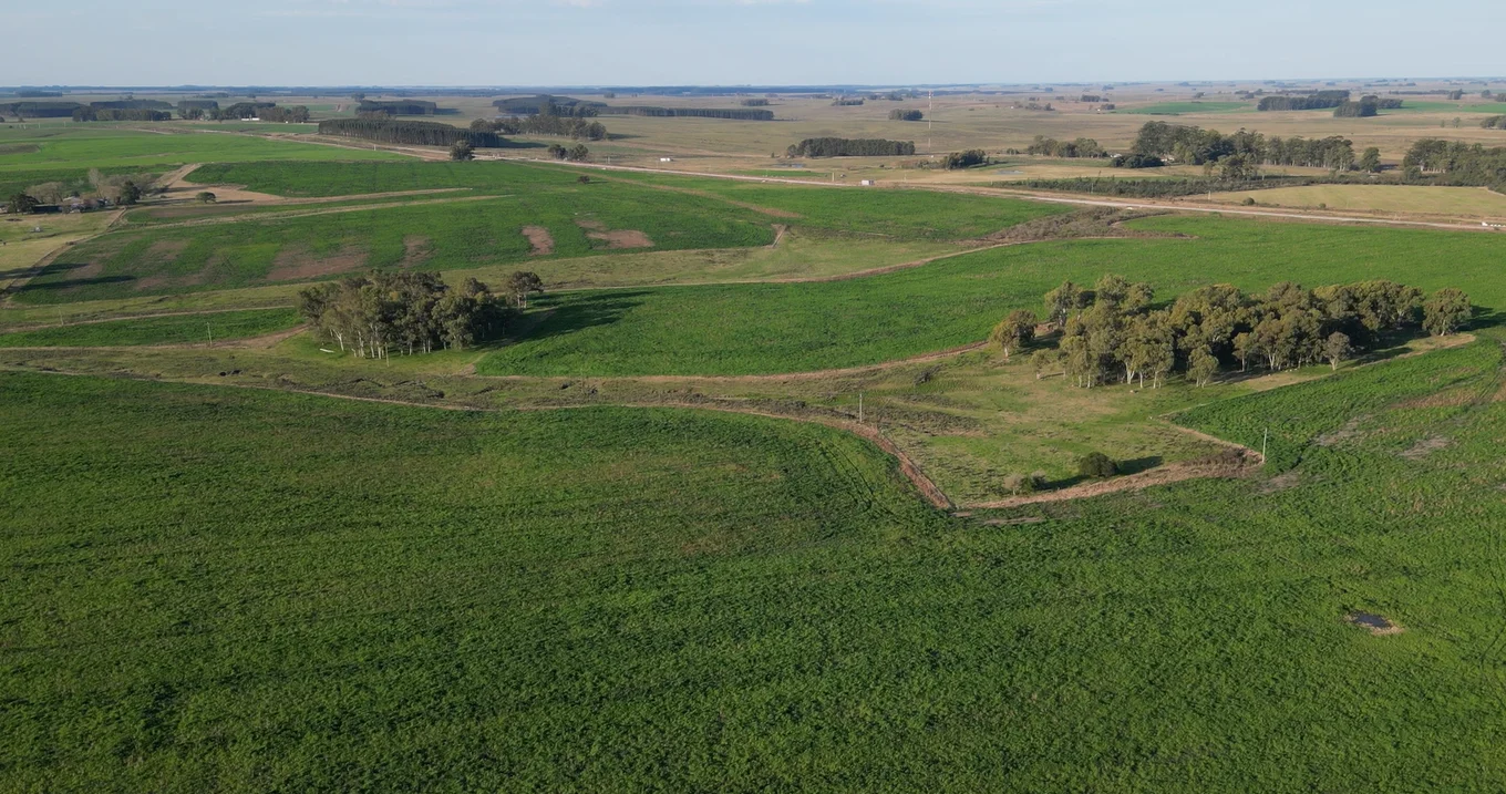 Campo en Durazno, propiedad 291522 -Imagen 1