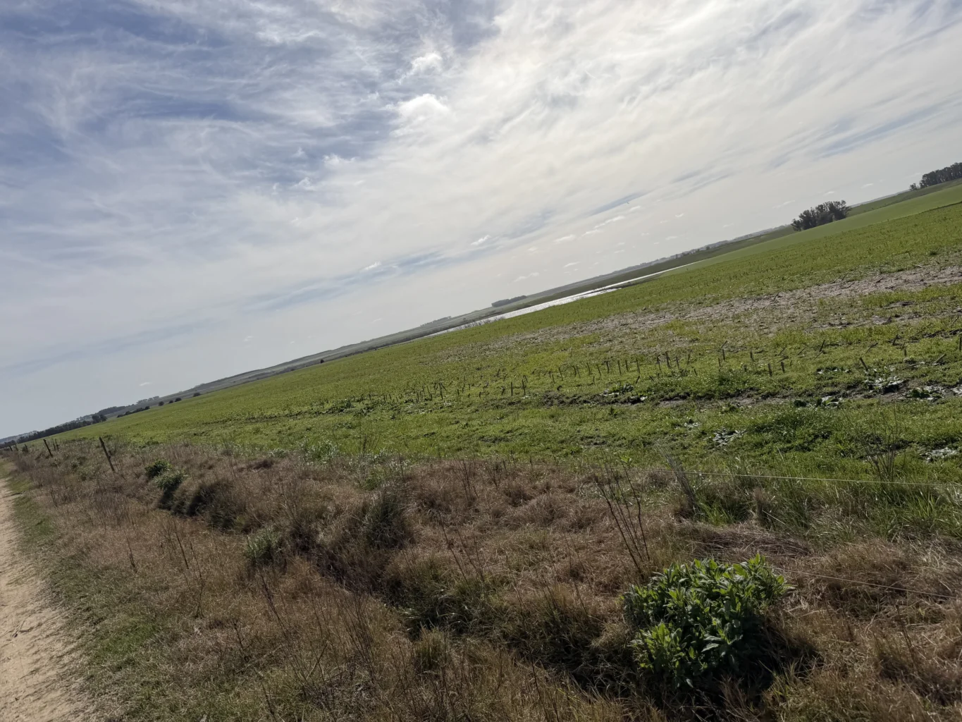 Campo en Durazno, propiedad 291522 -Imagen 3