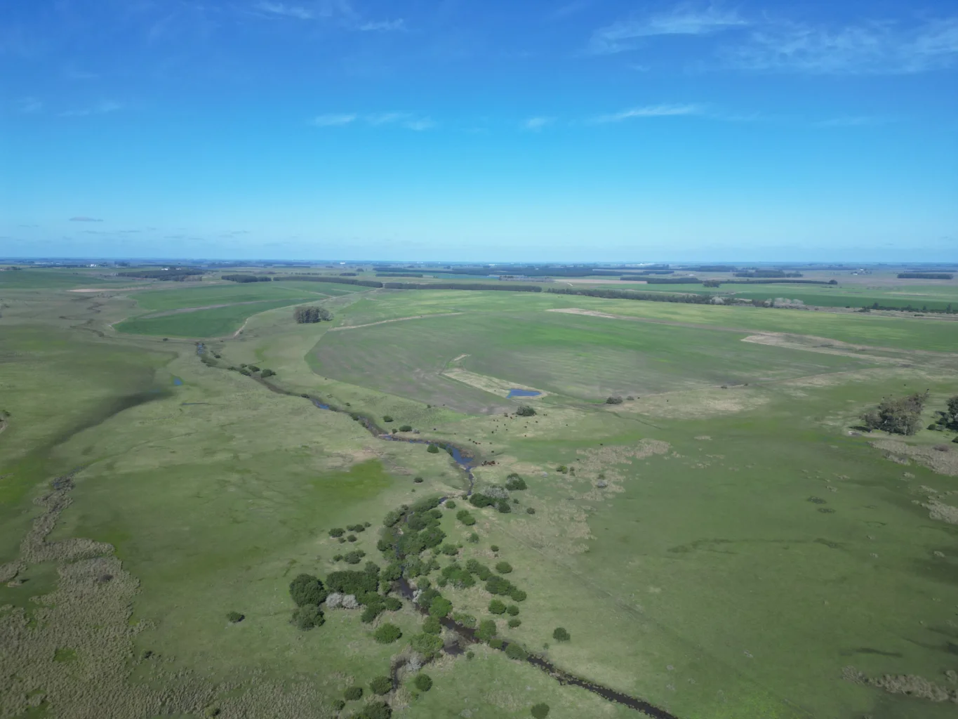 Campo en Durazno, propiedad 291522 -Imagen 2