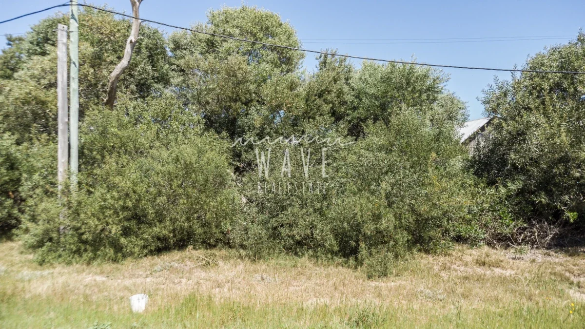 Terreno en La Juanita, propiedad 244893 -Imagen 3