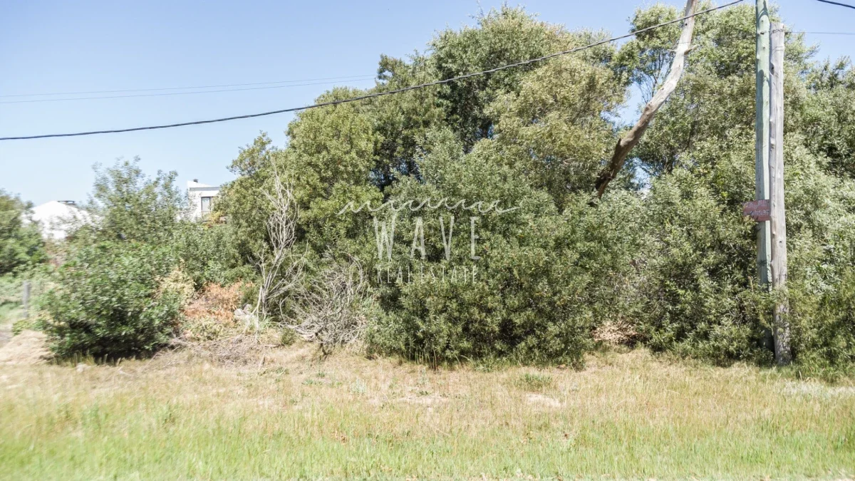 Terreno en La Juanita, propiedad 244893 -Imagen 4