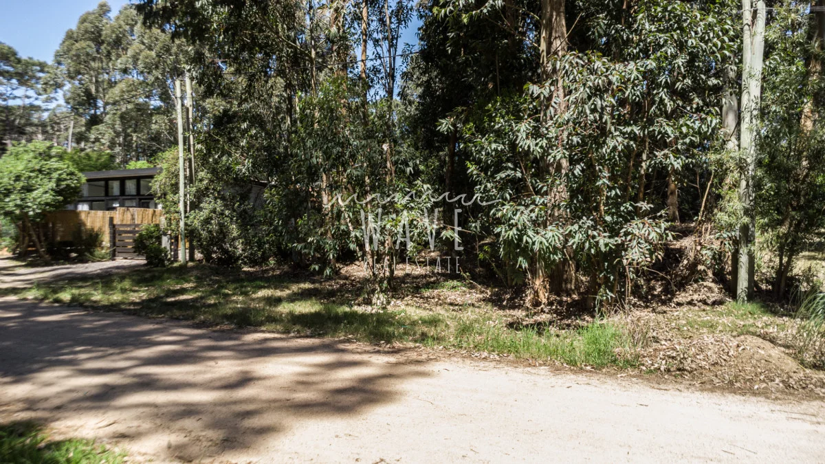Terreno en La Juanita, propiedad 245661 -Imagen 11