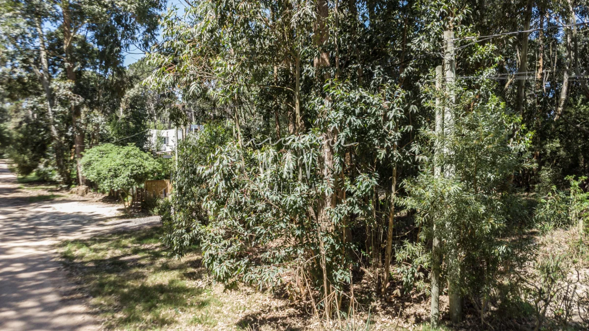 Terreno en La Juanita, propiedad 245661 -Imagen 12