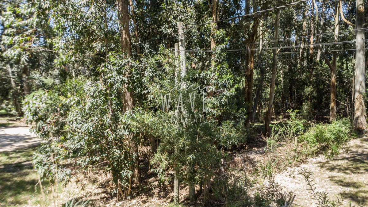 Terreno en La Juanita, propiedad 245661 -Imagen 13