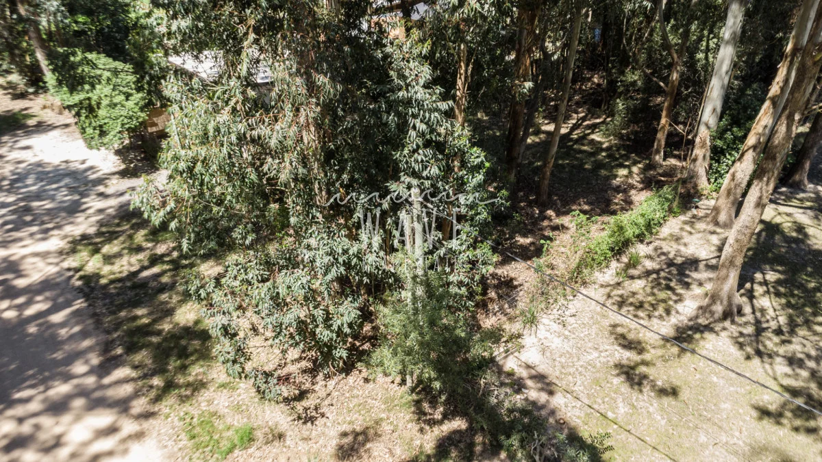 Terreno en La Juanita, propiedad 245661 -Imagen 14