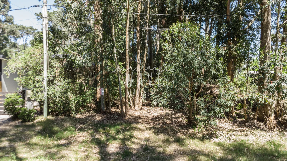 Terreno en La Juanita, propiedad 245661 -Imagen 8