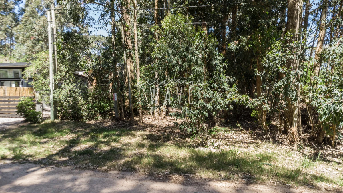 Terreno en La Juanita, propiedad 245661 -Imagen 9