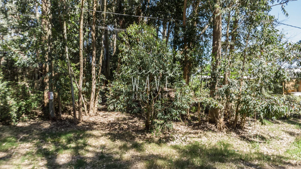 Terreno en La Juanita, propiedad 245661 -Imagen 10