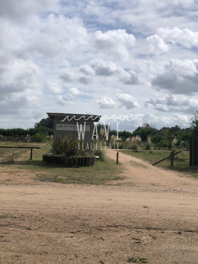 Terreno en La Barra, propiedad 271681 -Imagen 1