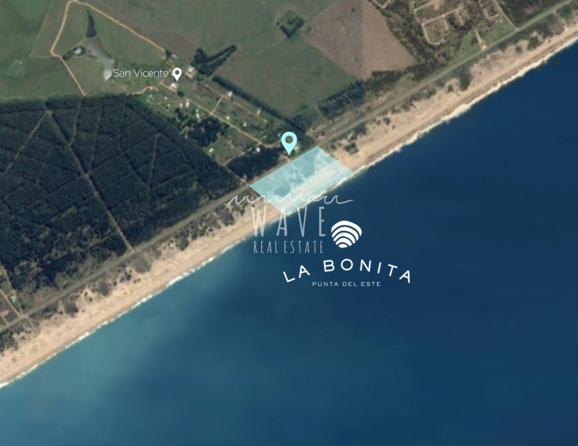 Terreno en San Vicente, propiedad 272671 -Imagen 11