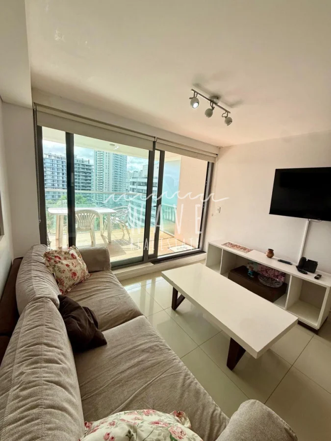 Apartamento en Playa Brava, propiedad 273064 -Imagen 8