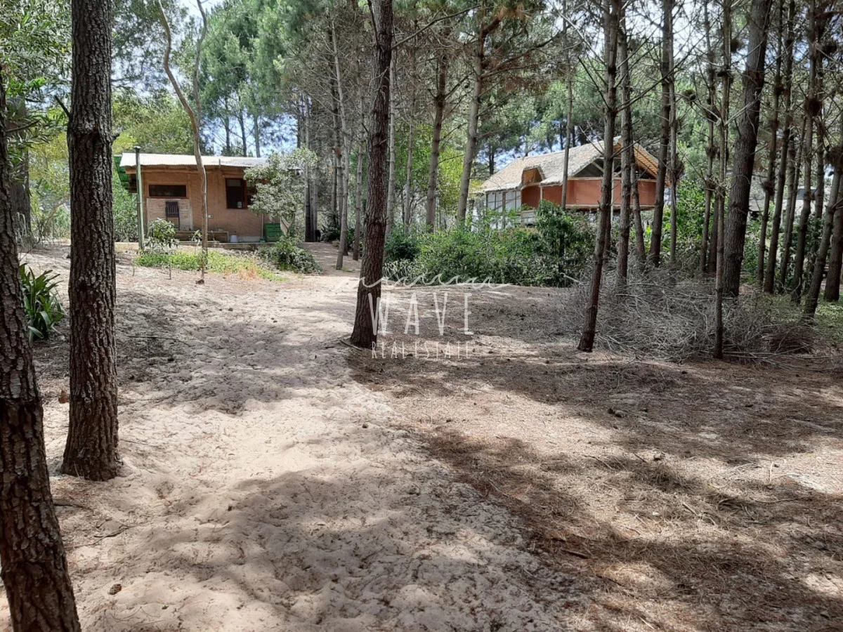 Casa en Punta Ballena, propiedad 277238 -Imagen 14
