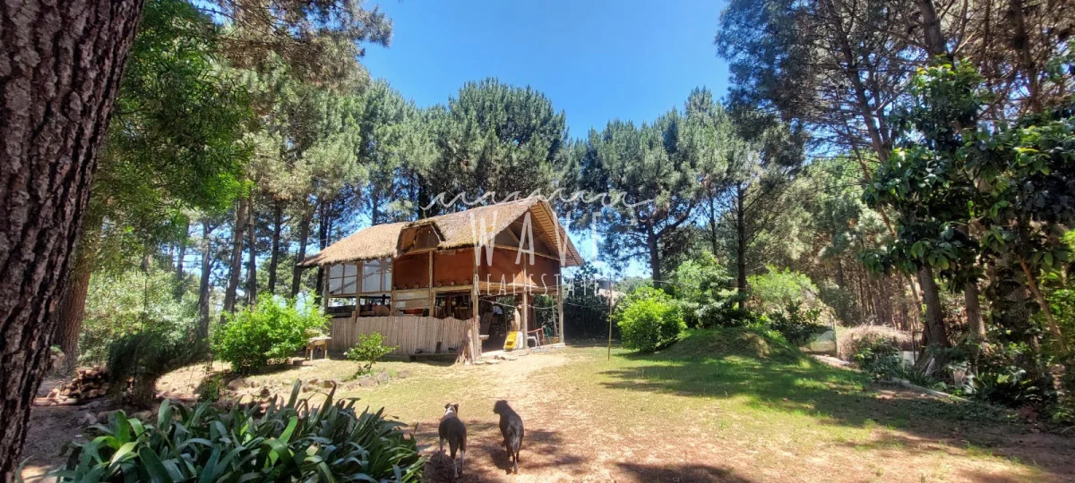 Casa en Punta Ballena, propiedad 277238 -Imagen 8