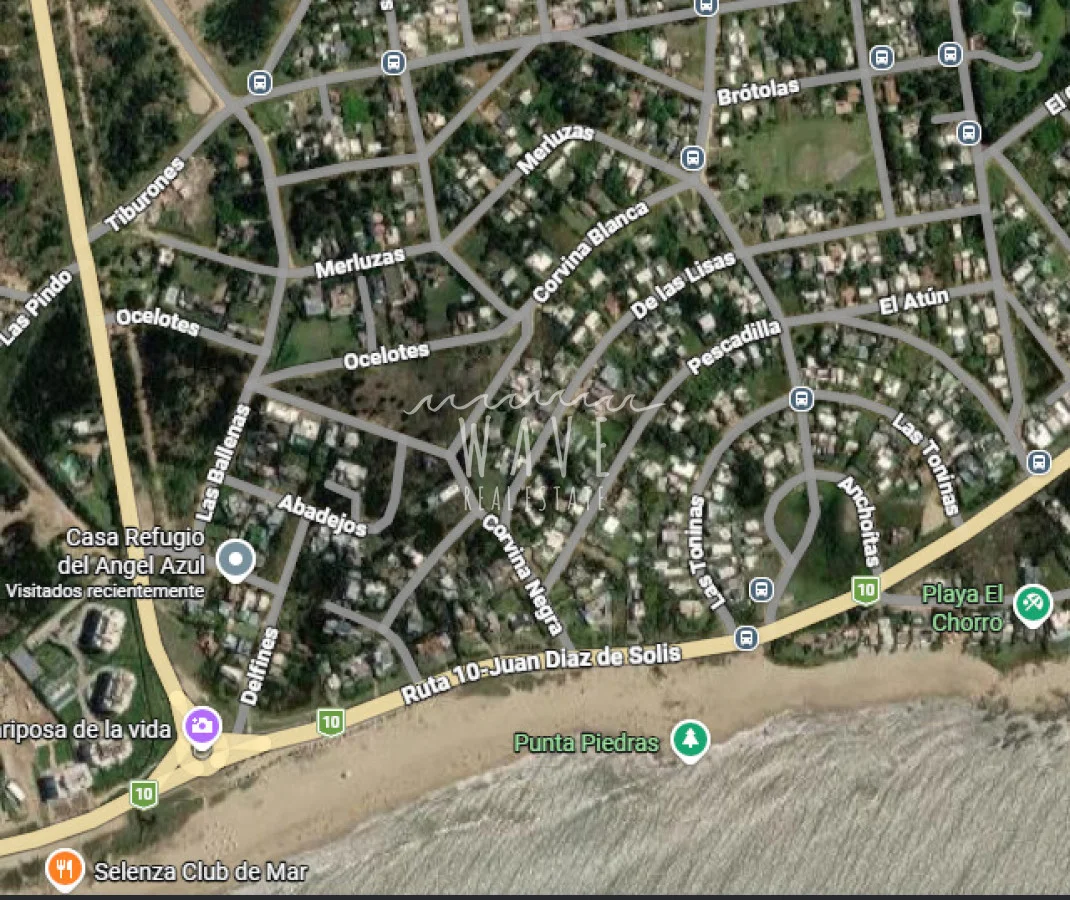 Terreno en El Chorro, propiedad 292615 -Imagen 2
