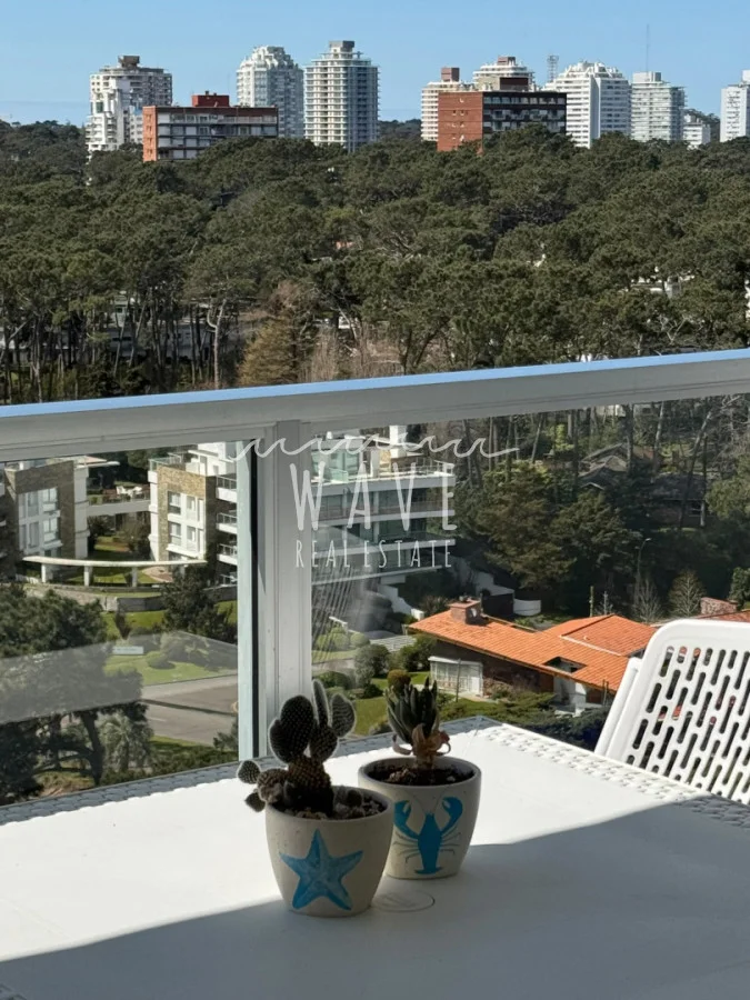 Apartamento en Playa Mansa, propiedad 293559 -Imagen 9