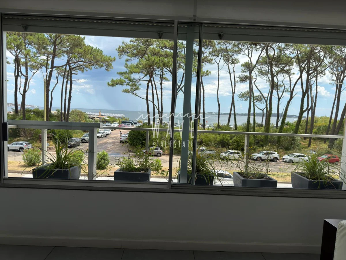 Apartamento en Playa Mansa, propiedad 294182 -Imagen 8