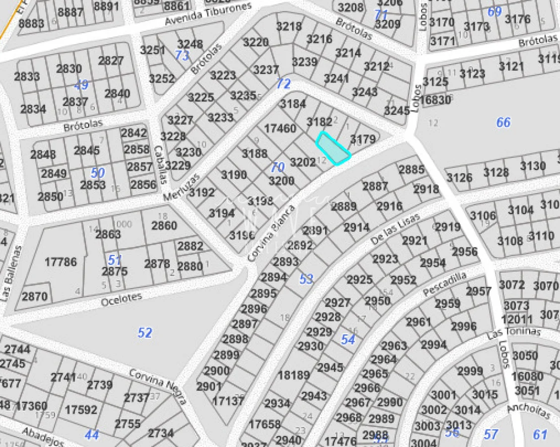Terreno en El Chorro, propiedad 294341 -Imagen 2
