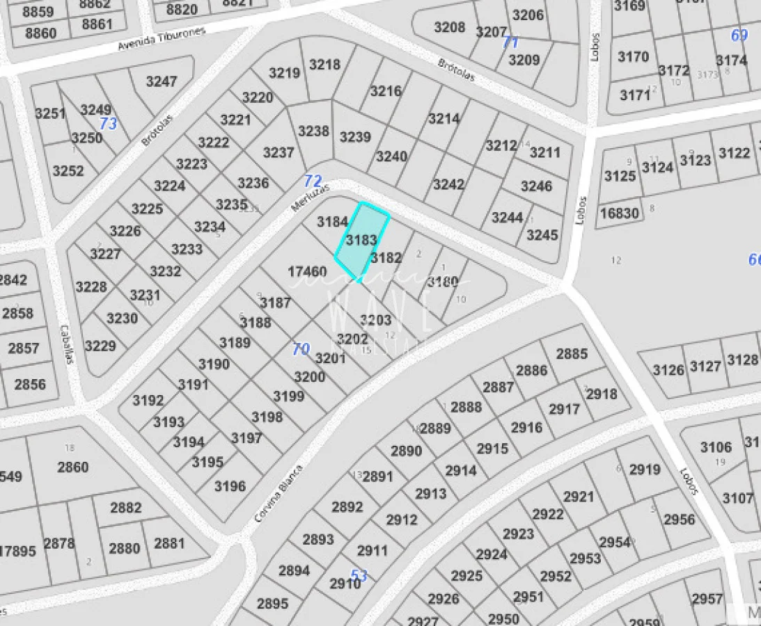 Terreno en El Chorro, propiedad 294342 -Imagen 3