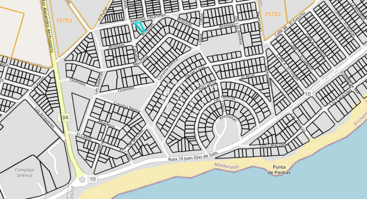 Terreno en El Chorro, propiedad 294349 -Imagen 2