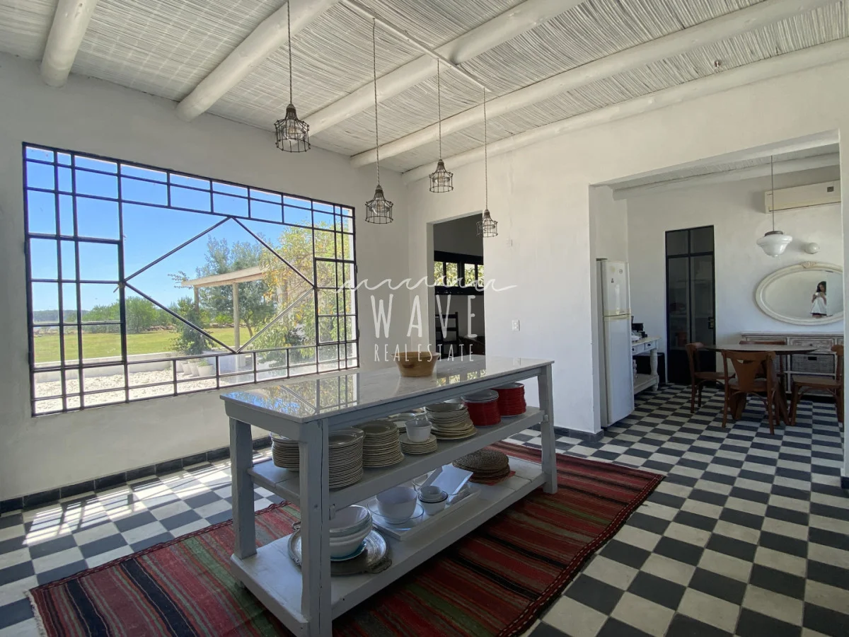 Chacra en José Ignacio, propiedad 294365 -Imagen 12