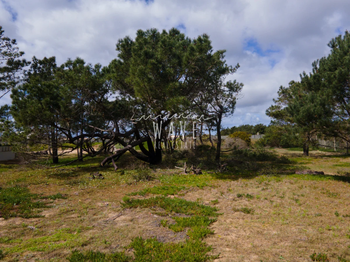 Terreno en José Ignacio, propiedad 297208 -Imagen 5
