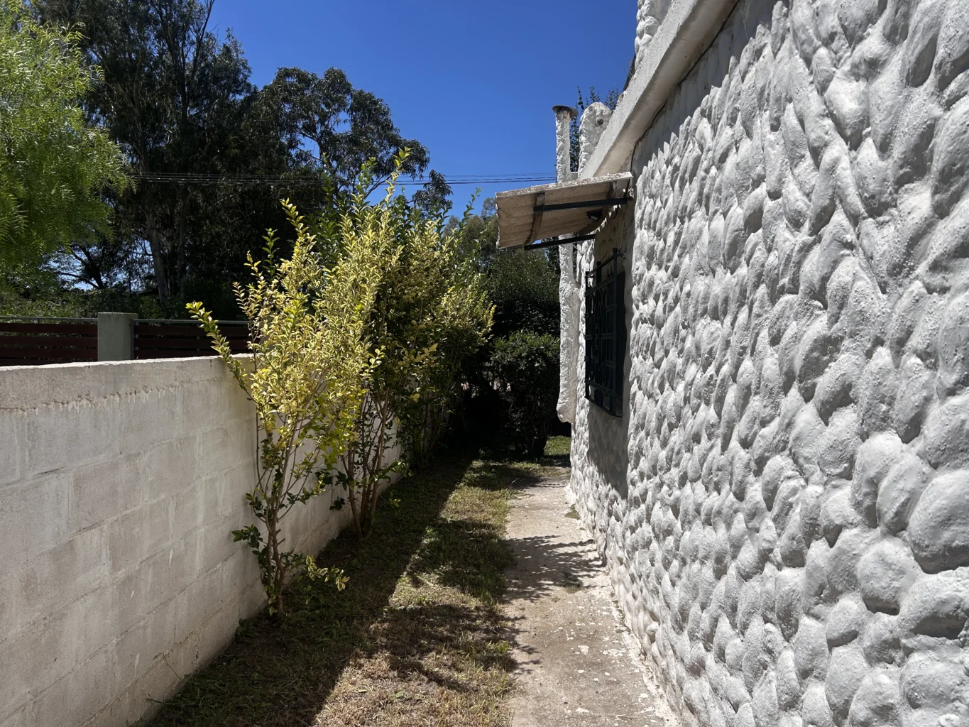 Casa en Santa Ana , propiedad 276599 -Imagen 5