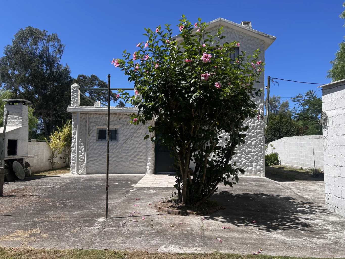 Casa en Santa Ana , propiedad 276599 -Imagen 1