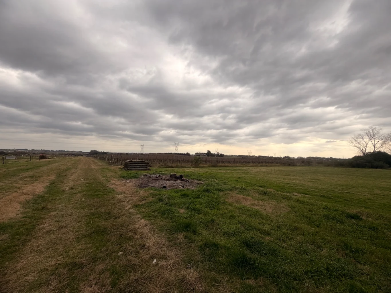 Campo en Canelones, propiedad 284825 -Imagen 3