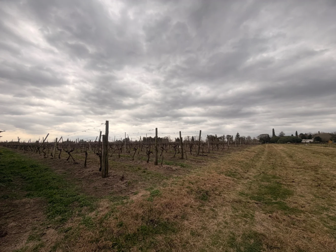 Campo en Canelones, propiedad 284825 -Imagen 4