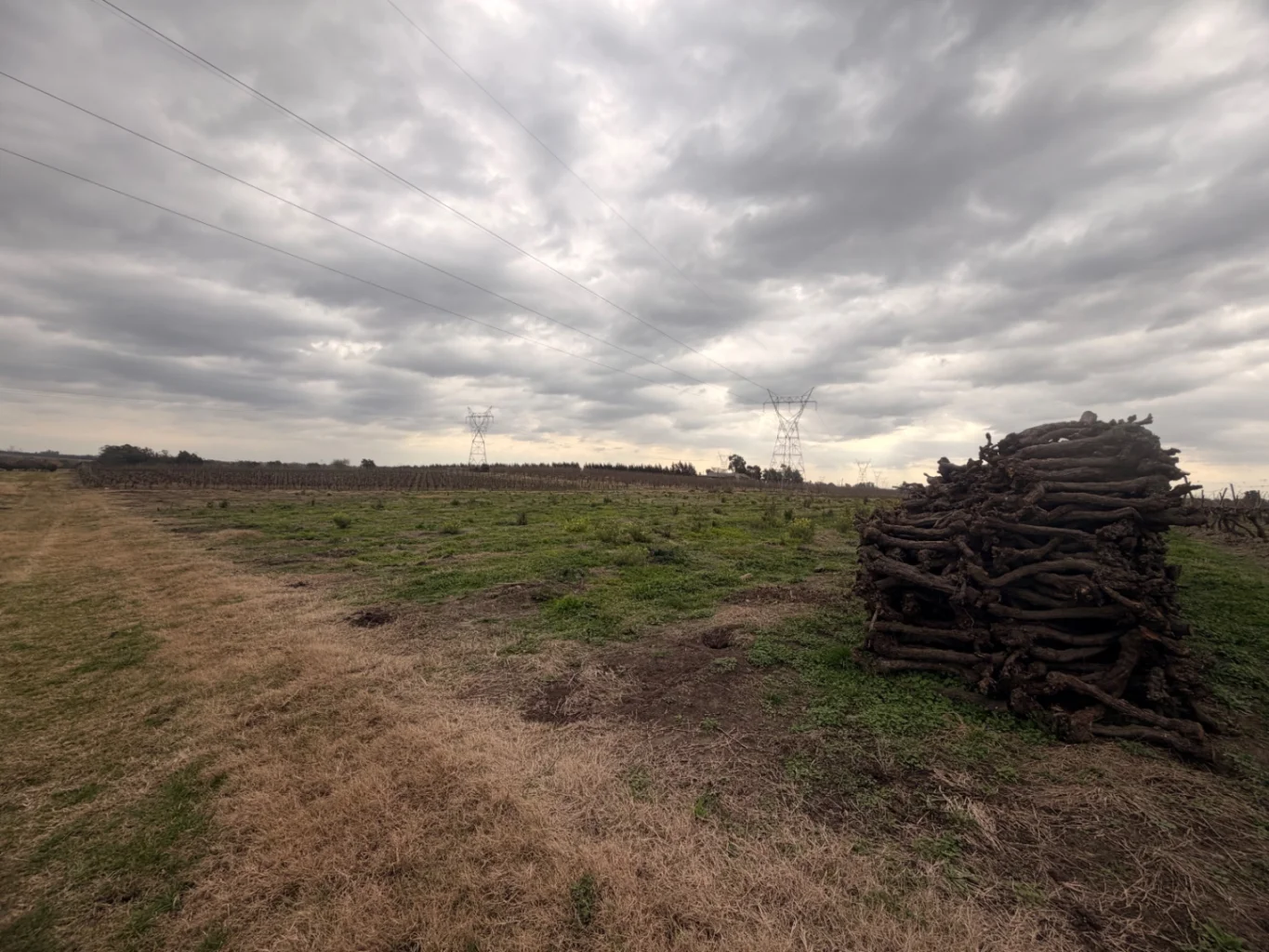 Campo en Canelones, propiedad 284825 -Imagen 5