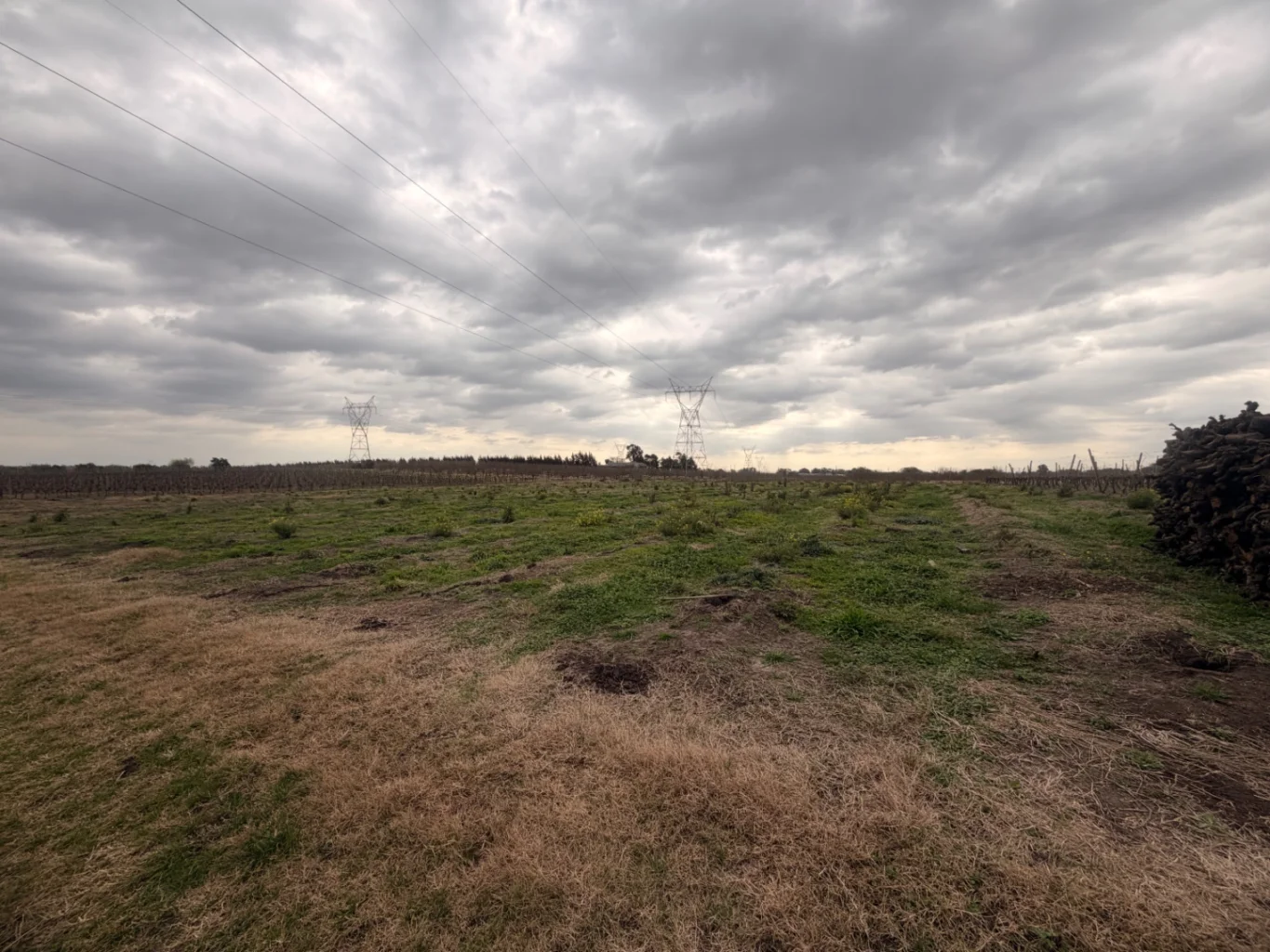 Campo en Canelones, propiedad 284825 -Imagen 6