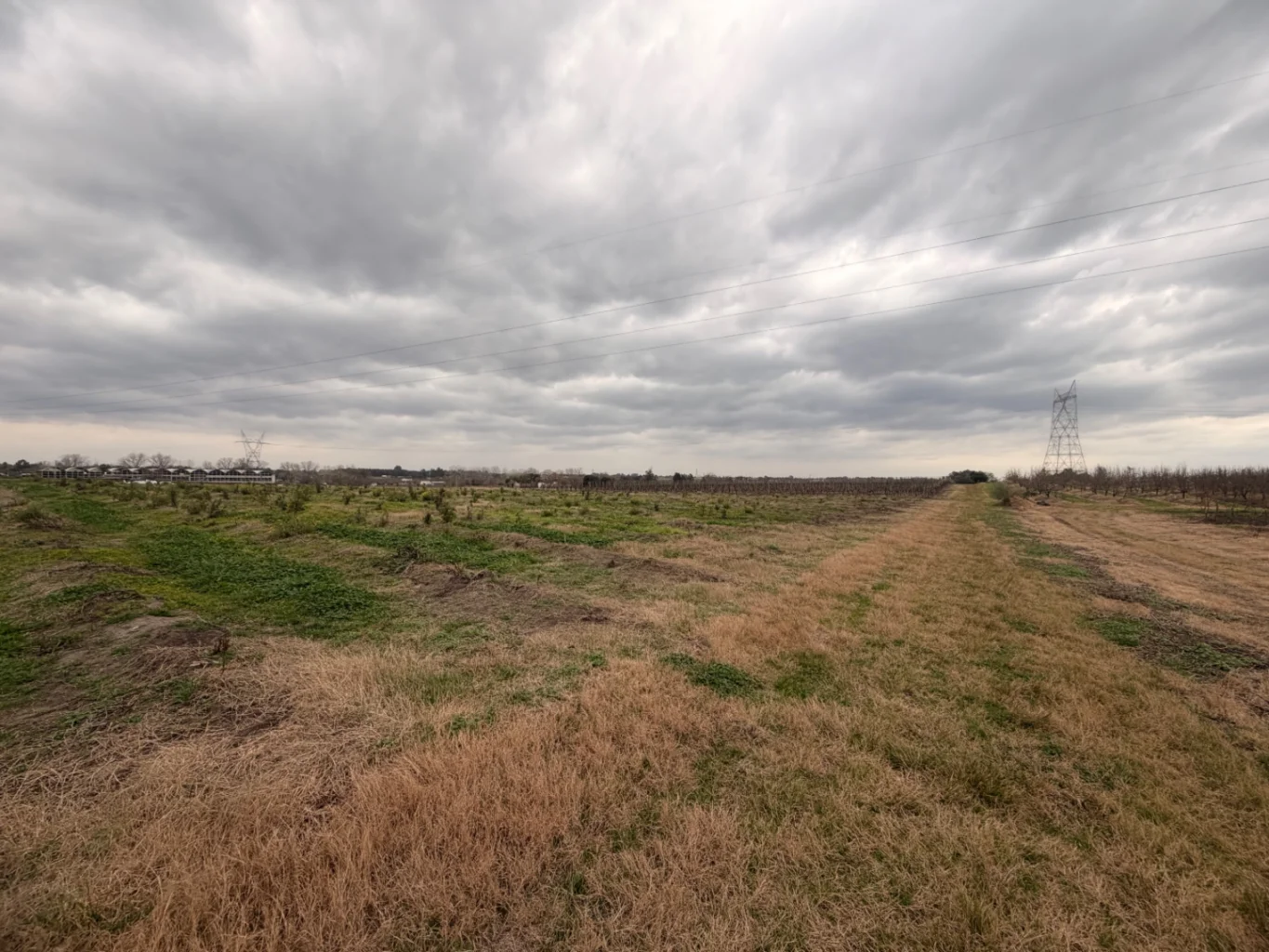 Campo en Canelones, propiedad 284825 -Imagen 7