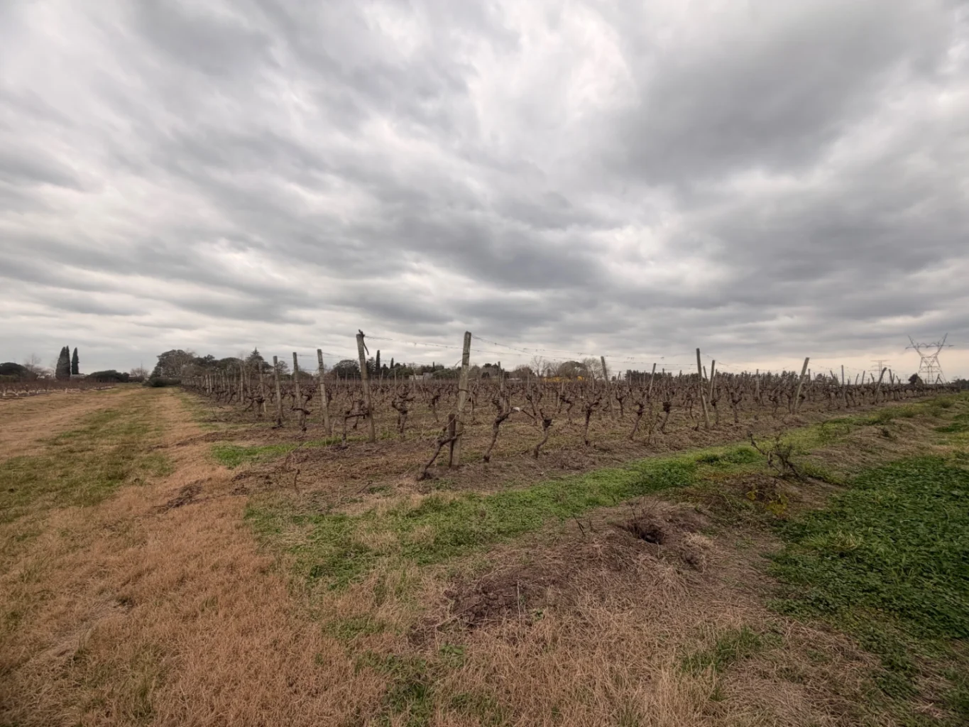 Campo en Canelones, propiedad 284825 -Imagen 8