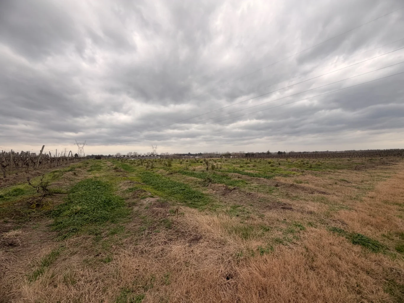 Campo en Canelones, propiedad 284825 -Imagen 9