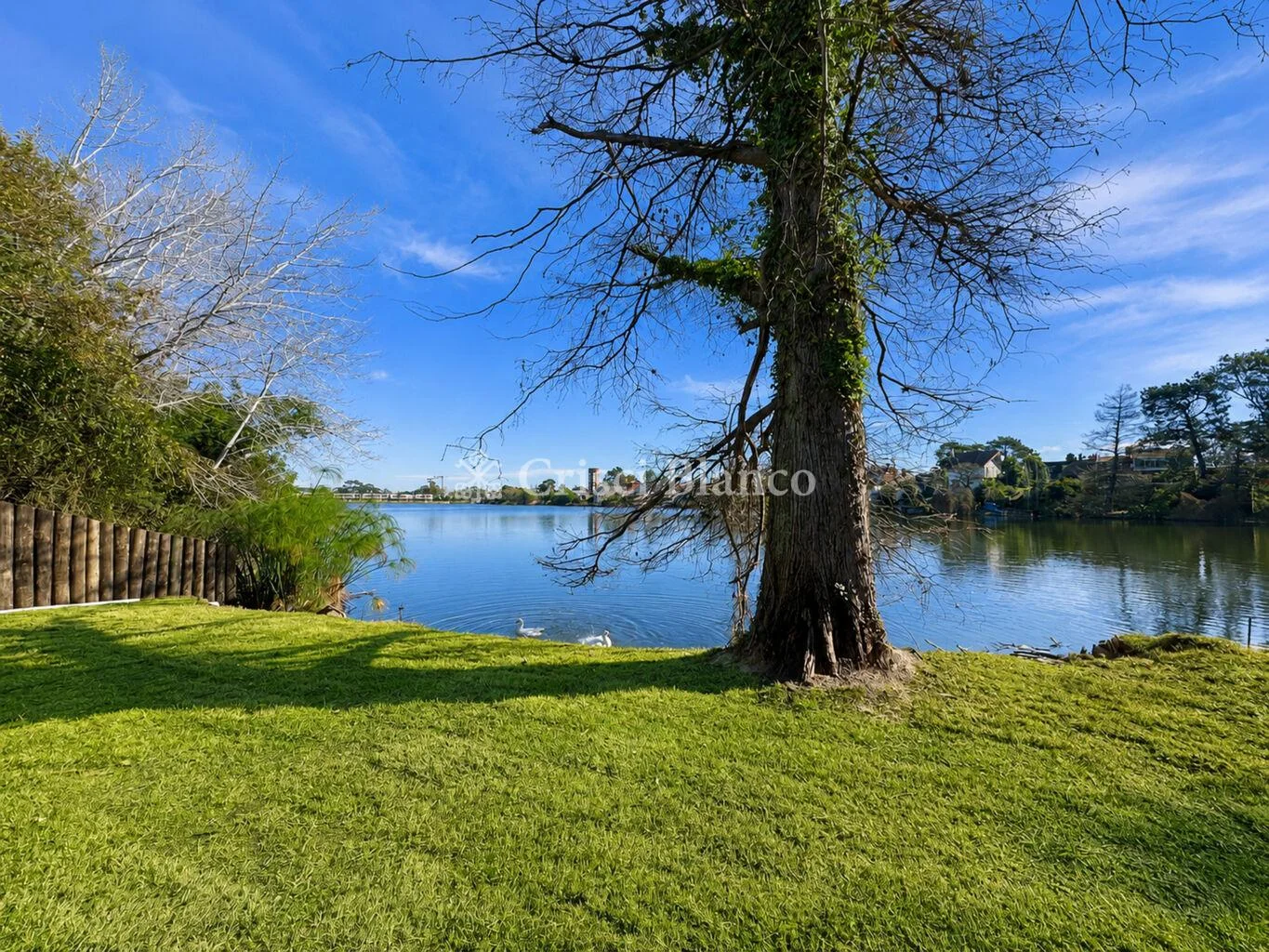 Apartamento en Av. de las Americas, propiedad 262748 -Imagen 20