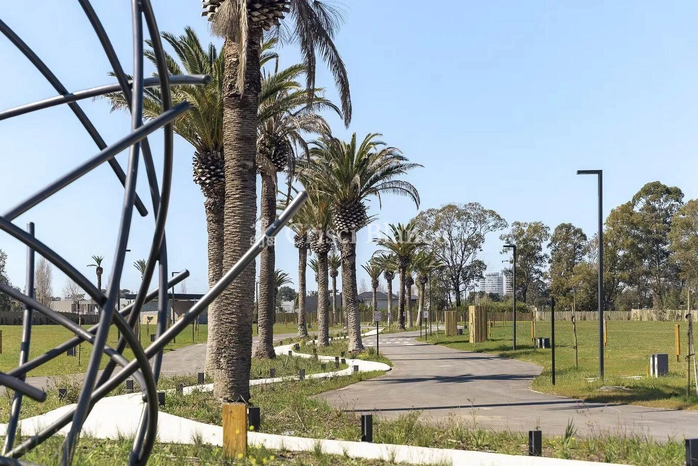 Terreno en Lagos, propiedad 71197 -Imagen 4