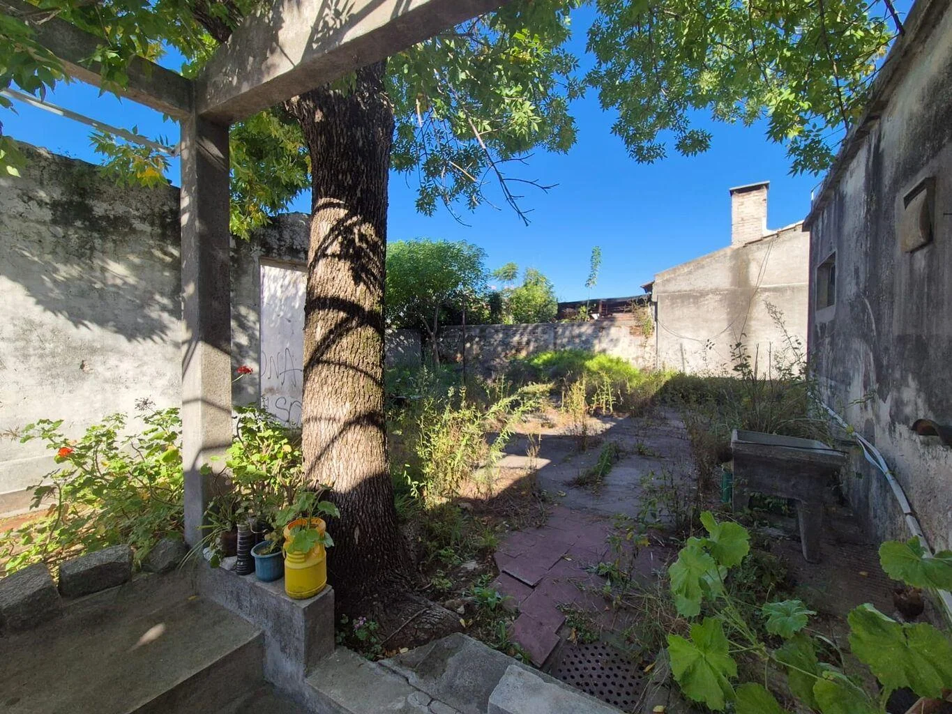 Casa en Dolores, propiedad 220849 -Imagen 6