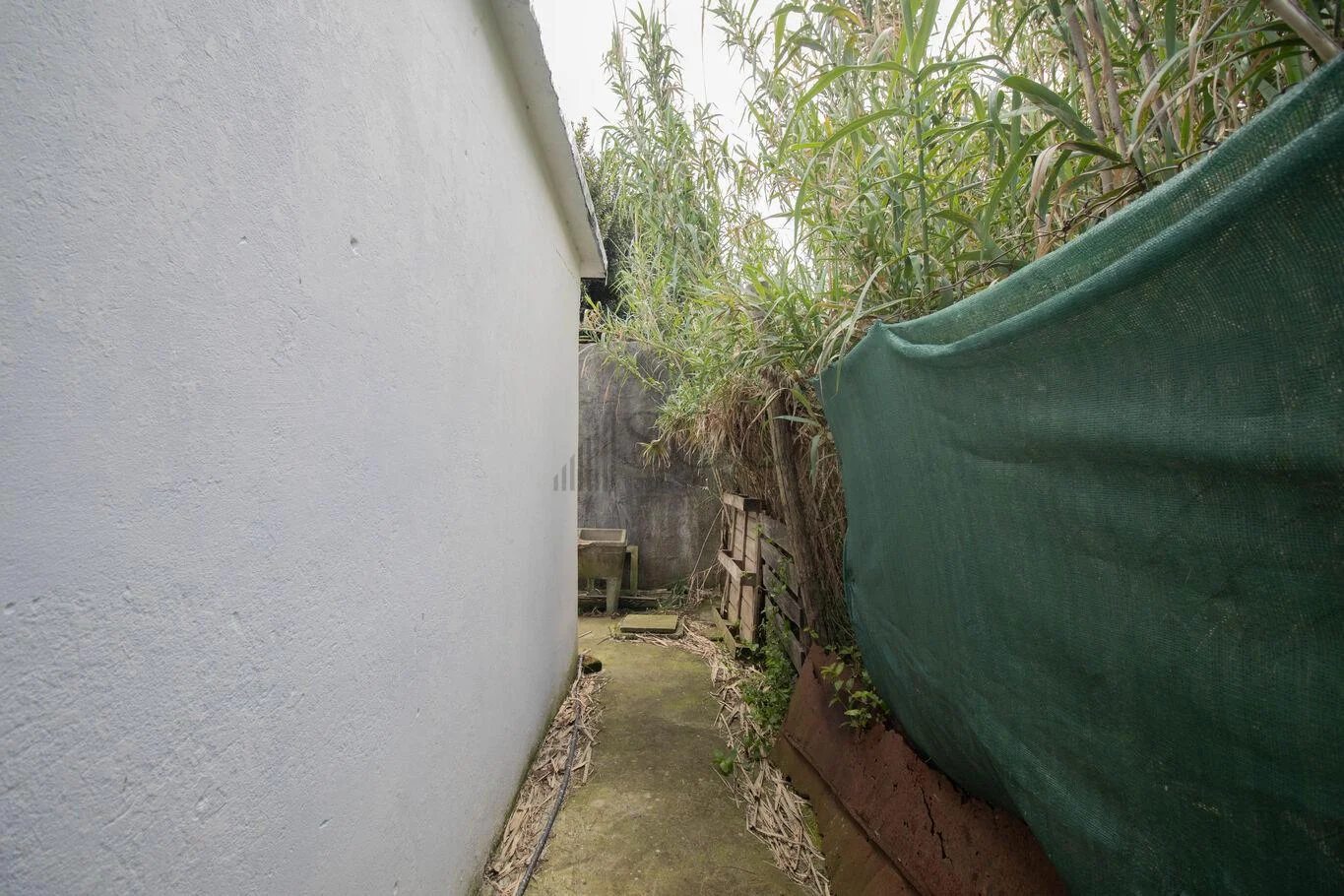 Terreno en Pando, propiedad 222108 -Imagen 18