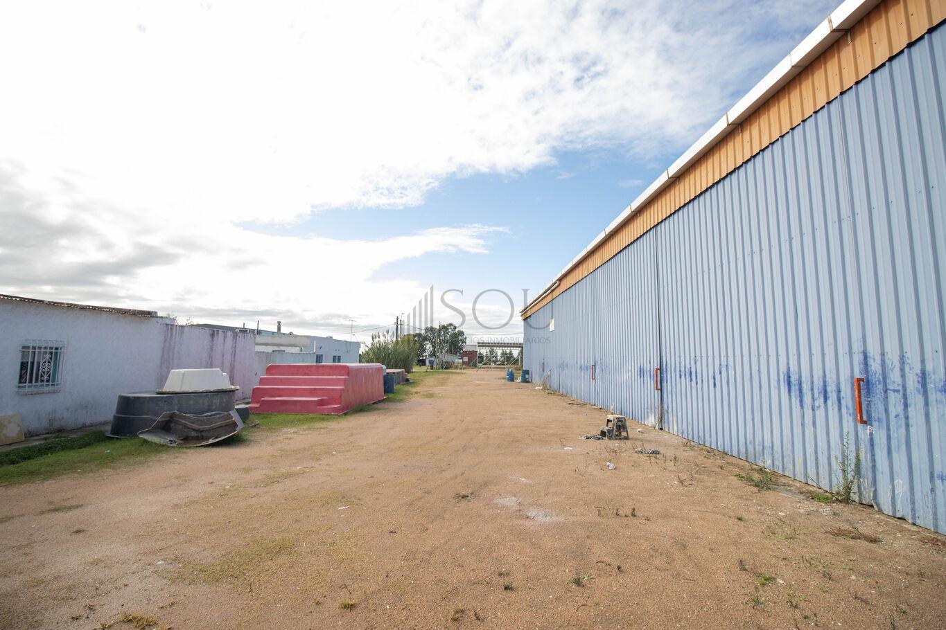 Depósito en Barros Blancos, propiedad 249963 -Imagen 4