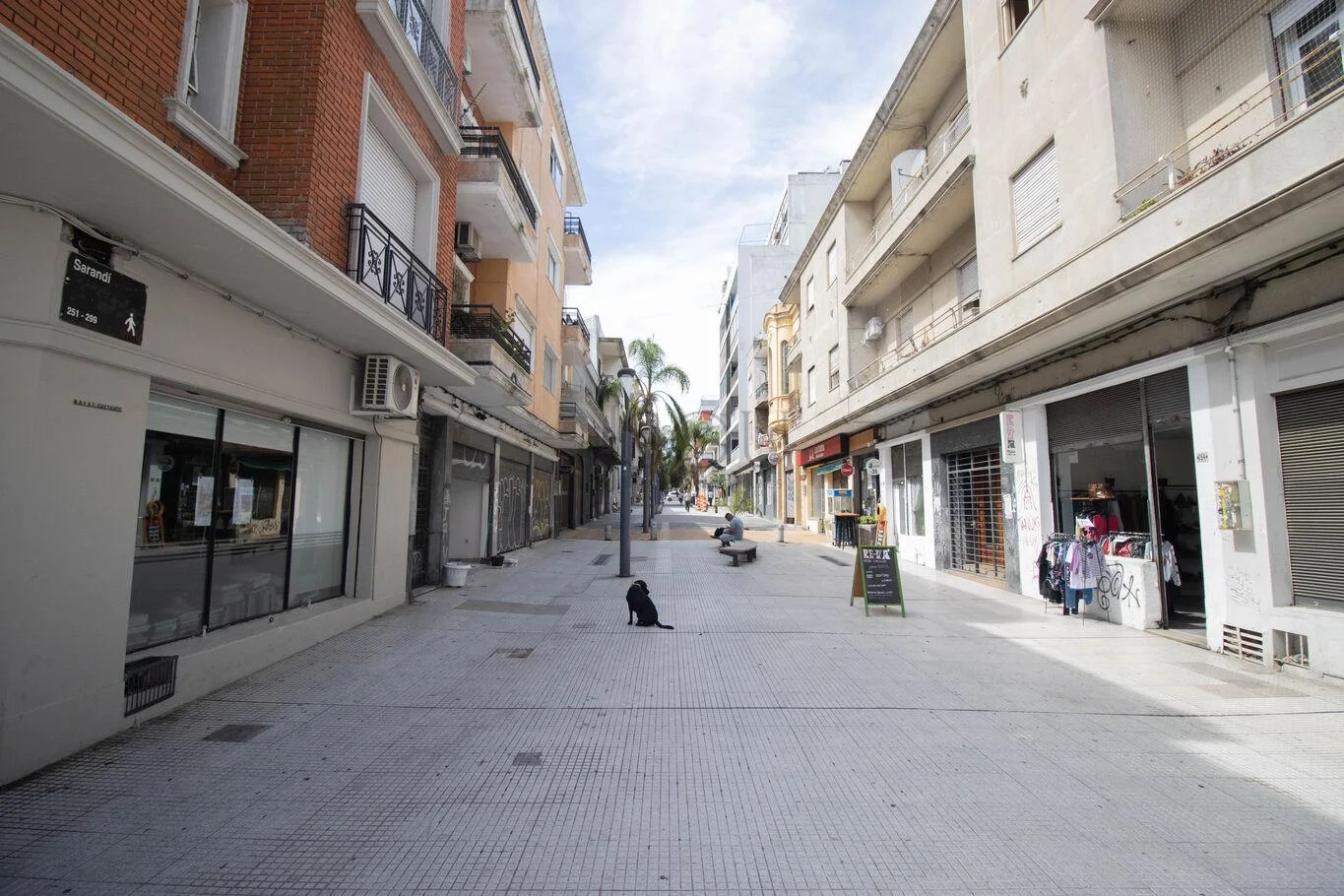 Local en Ciudad Vieja, propiedad 256062 -Imagen 17