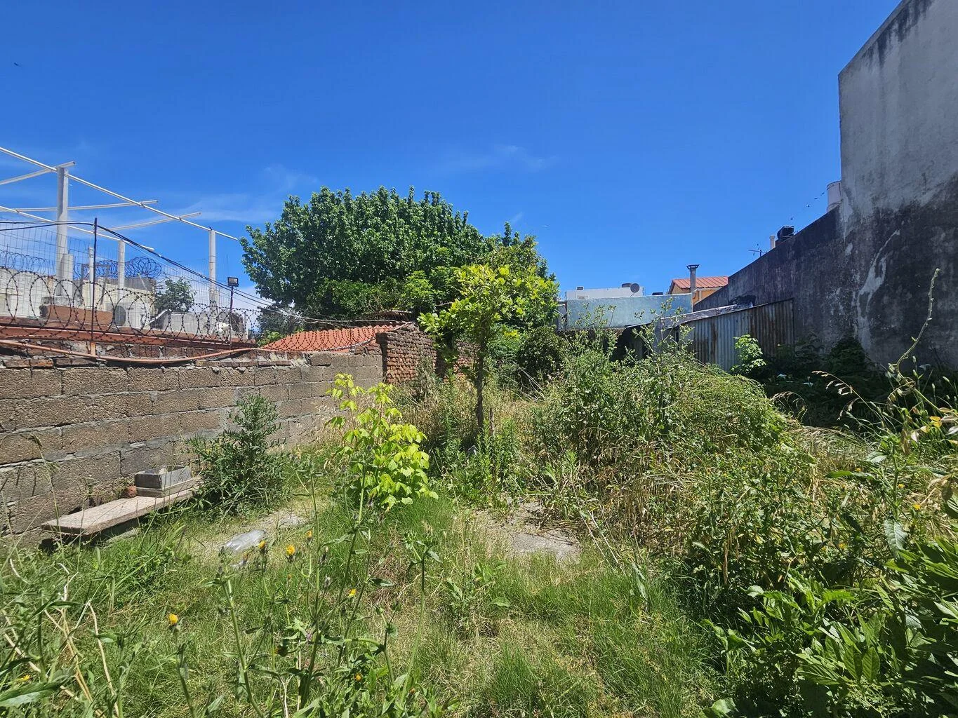 Casa en Belvedere, propiedad 271029 -Imagen 15