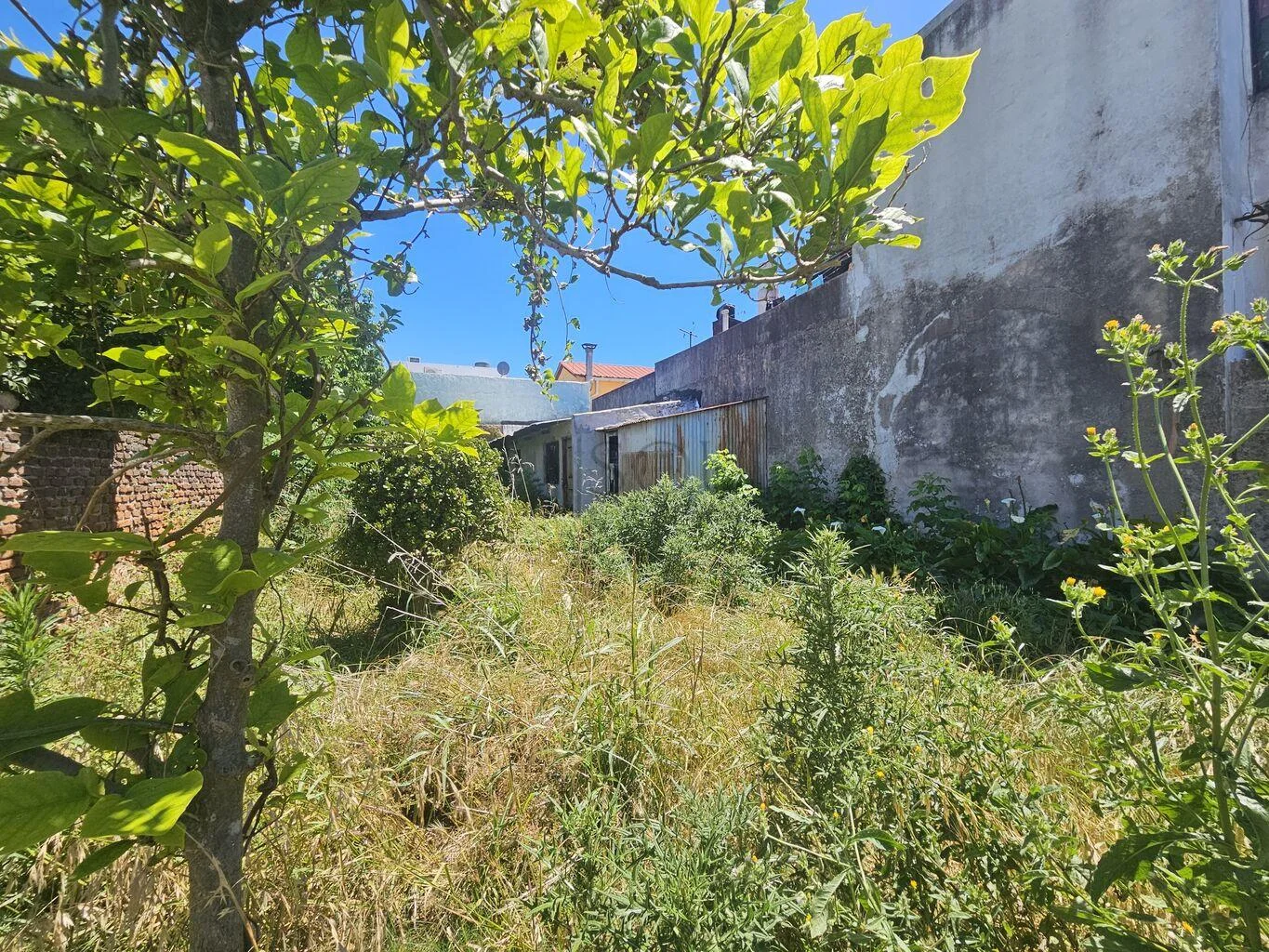 Casa en Belvedere, propiedad 271029 -Imagen 17