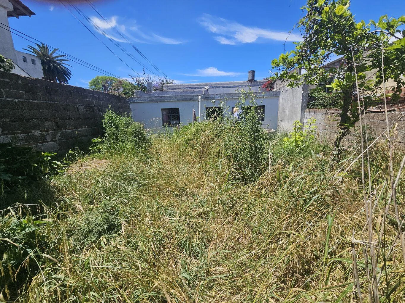 Casa en Belvedere, propiedad 271029 -Imagen 18