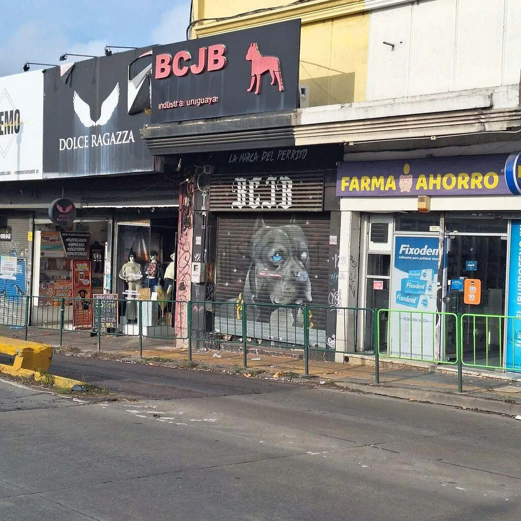 Local en Paso Molino, propiedad 273188 -Imagen 4