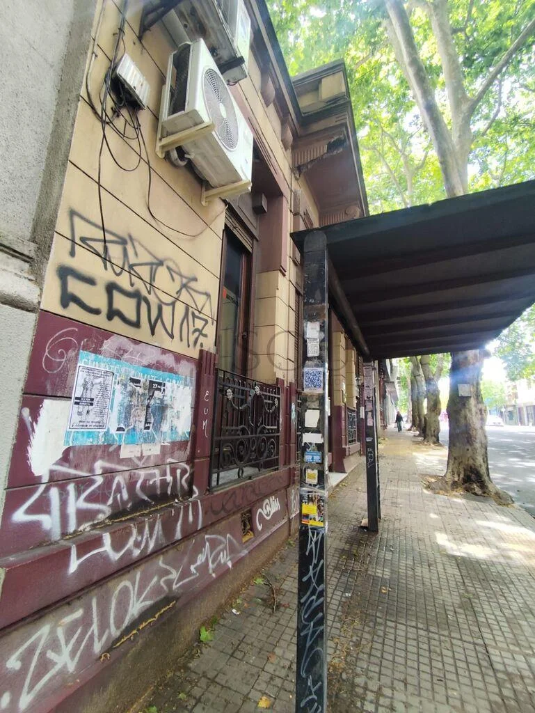 Terreno en Cordón, propiedad 285826 -Imagen 6