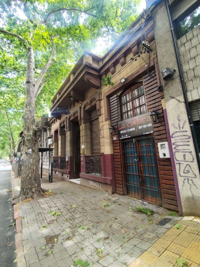 Terreno en Cordón, propiedad 285826 -Imagen 10